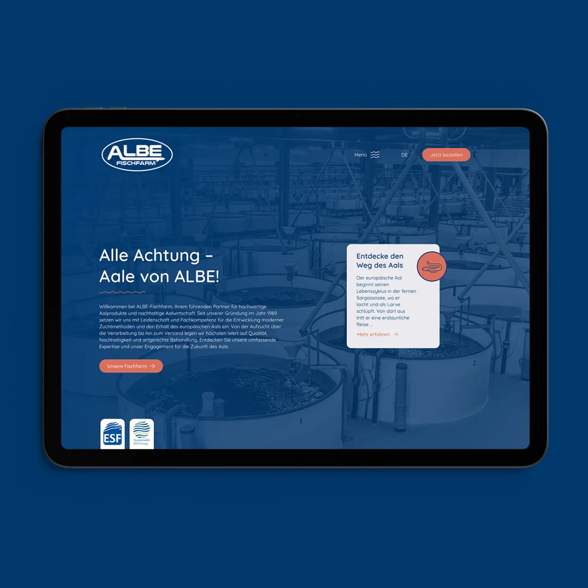 Albe Fischfarm — Galerie 5